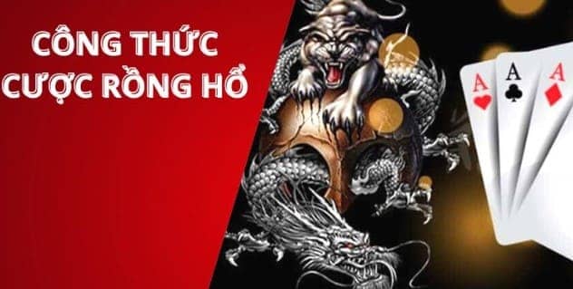 Thế Giới Rồng Hổ K8CC Bật Mí Bí Kíp Chiến Thắng